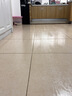 添可极客蒸汽2.0 【380℃高温蒸汽源 28KPa吸力 110min续航】0缠毛躺平蒸汽洗地机吸拖一体扫地机器人 实拍图