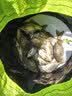 汉鼎鱼漂浮漂鲤鱼鲫鱼漂小碎目高灵敏野钓行程浮漂套装加粗醒目漂渔具 实拍图