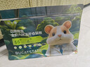 布卡星山鹿鳕鱼全价六拼冻干仓鼠粮食金丝熊侏儒全阶营养主粮550g 实拍图