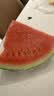 京鲜生 麒麟无籽西瓜 1粒装 净重7-9斤 生鲜水果 实拍图