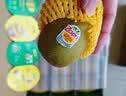 佳沛（zespri）新西兰新果季  阳光金奇异果18粒礼盒优选果单果103-124g 猕猴桃 实拍图
