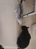 京东京造 浓汤红肉猫罐头金枪鱼混合味85克*24罐 猫零食湿粮补水鱼肉罐 实拍图