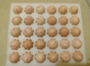 天珍牧场NSF无抗生素谷物鲜鸡蛋30枚3斤安全无激素 宝宝辅食 早餐食材 实拍图