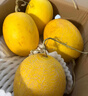 京鲜生 海南黄金哈密瓜 2粒 单果2.5斤起 净重6-8斤 生鲜水果礼盒 实拍图