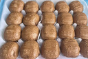 广州酒家核桃包750g 20个 早餐半成品 广式早茶点心 包子速食速冻开学季 实拍图
