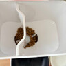 小佩AI宠物智能自动双子星喂食器可视版  实时视频监控(支持鸿蒙智联) 实拍图