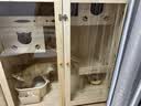 腆宠 猫笼别墅 猫柜子猫别墅实木猫笼子超大号家用豪华猫窝猫舍猫屋 实拍图