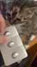 海乐妙猫咪体内驱虫药0.5-2kg（三片装）幼猫防治寄生虫宠物驱虫 实拍图