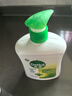 滴露（Dettol）滴露洗手液经典松木500g*2 实拍图
