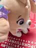 汪汪队立大功（PAW PATROL）毛绒玩具陪睡玩偶经典款珊瑚中号坐姿公仔男女孩儿童生日礼物 实拍图