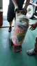 干粉灭火器35公斤推车式干粉20kg35KG20L45L水基型推车式灭火器锂电池推车式灭火器大推拉加油站闪电发货 20Kg干粉灭火器【2025新国标】 晒单实拍图