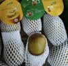 佳沛（zespri）新西兰 阳光金奇异果12粒特大果单果124-146g 猕猴桃水果礼盒 实拍图