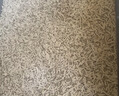 pidan猫砂 纯豆腐猫砂2.4kg*4包强力吸臭不易带出 可冲厕所非膨润土砂 实拍图