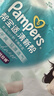 帮宝适超薄透气清新帮拉拉裤新生儿婴儿尿不湿尿片透氧Pro XL62 实拍图