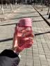 特百惠（Tupperware）嘟嘟企鹅350ML塑料杯夏季儿童可爱水杯子男女学生带提绳 西瓜红 实拍图