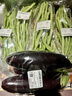 【烧烤季】长茄子约600g 实拍图