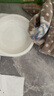 皇家幼猫奶糕幼猫猫粮BK34 通用粮1-4月 2KG【皇家预售付定金享优惠】 实拍图