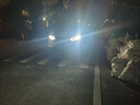 飞利浦（PHILIPS）led汽车大灯 H11灯泡 灯光升级 极昼高亮光 U3510 轩逸经典起亚k3 实拍图