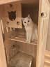 腆宠猫笼猫窝实木猫别墅大号猫咪笼子猫柜猫笼子家用室内猫舍猫屋猫房 实拍图