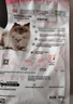 皇家猫粮幼猫奶糕  BK34 通用粮 1-4月 400g 实拍图
