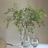 益和（MATCHWELL）狗狗零食夹心磨牙棒洁齿宠物中小犬鸭肉长磨棒200g/袋 实拍图