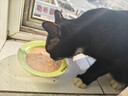 领先成猫尝鲜礼包主食级烘焙猫粮猫条餐盒汤包（新老款随机发货） 实拍图