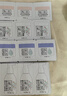 松达婴儿山茶油面霜身体乳液洗护用品试用体验装 【新生儿专研】面霜4.5g+松花粉2g+护臀霜2g 实拍图