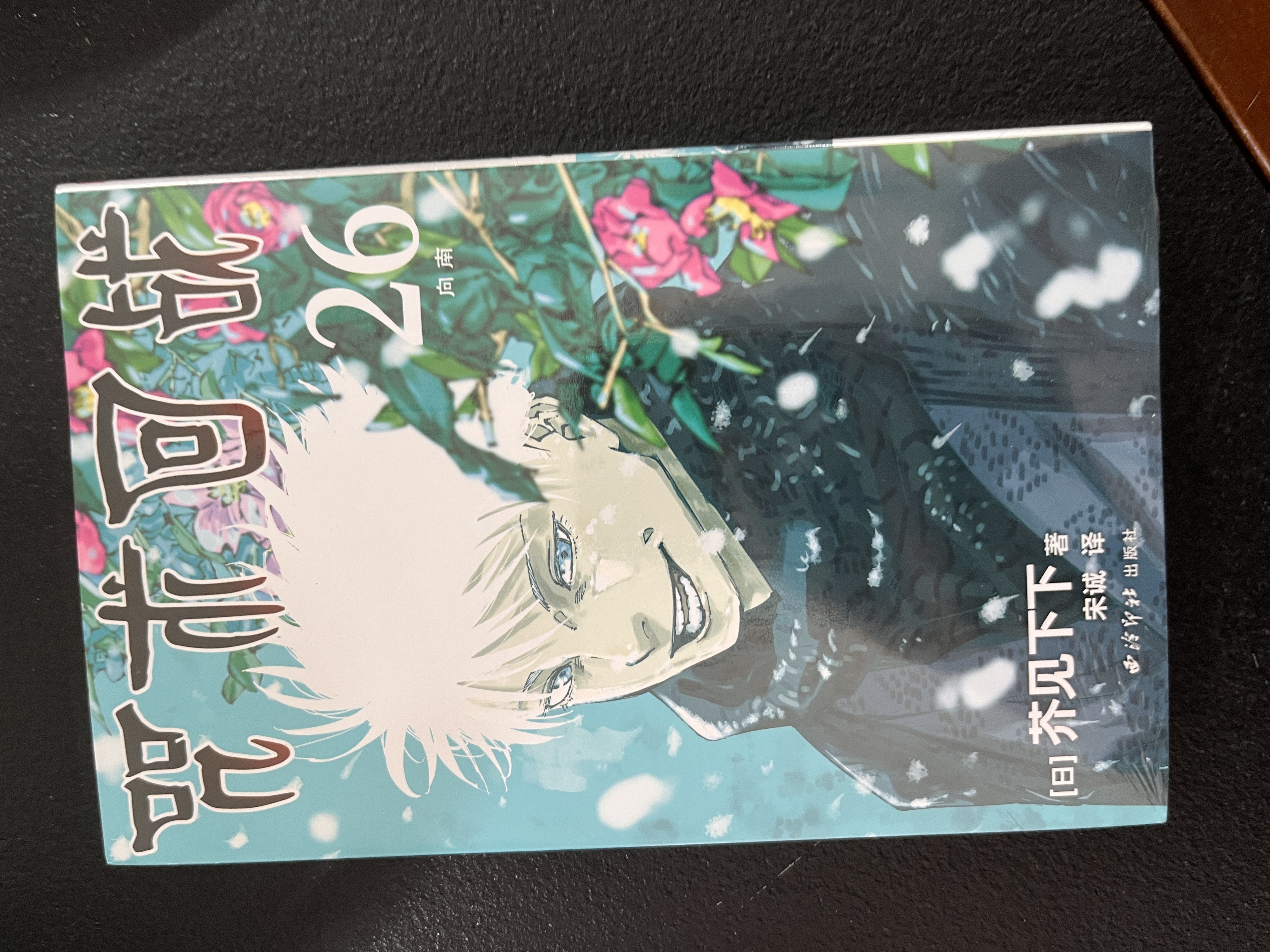 咒术回战漫画全套34册 大结局完结正版漫画0-30+公式书+小说2册 咒术回战12345678910-30任选芥见下下实体书简体中文非台版虎杖悠仁五条悟钉崎野蔷薇伏黑惠 咒术回战26 向南 实拍图