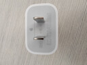 Apple/苹果 20W type-c充电器 苹果usb-c充电器原装手机快充头 旗舰店苹果iphone17/16/15promax充电器 实拍图