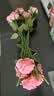 生喜朗高档仿真玫瑰花情人节礼物客厅餐桌花艺摆件干花假花仿真花装饰 实拍图