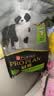冠能狗粮大中型犬幼犬狗粮2.5kg 全价狗粮 含牛初乳 实拍图