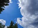 北蔬 肉丝瓜种子苗肉线丝瓜菜瓜蔬菜种籽 潍嫩5号肉丝瓜种子10g约85粒 实拍图