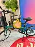 大行（DAHON）D6经典折叠自行车20英寸6速折叠车成人男女士学生折叠单车KBC061 墨绿色 实拍图