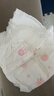 好奇（Huggies）铂金装小桃裤成长裤XL96片(12-17kg)加大号尿不湿【透爽散热】 实拍图