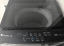小天鹅（LittleSwan）波轮洗衣机小型全自动家用 10KG TB10V28T 以旧换新 京东自营 一级能效 宿舍租房神器 实拍图