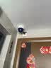 普联（TP-LINK）无线监控摄像头家用 手机APP远程查看高清监控器室内吸顶半球智能网络摄像机360度全景旋转云台版 400万4MP红外夜视【5G升级版】 官方标配无卡【30天云存储体验包】 实拍图