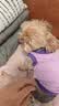 纽顿狗粮T27小型犬犬粮成犬幼犬通用美版进口鸡肉泰迪比熊狗粮 1.5kg*2包 实拍图
