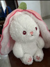尚韵儿童情人节新年生日礼物女生草莓兔子玩偶娃娃毛绒玩具女孩公仔 实拍图