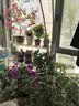 密林现代简约花架落地阳台铁艺客厅家用装饰花架盆景架 100cm三层白 实拍图