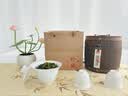 音朗 乌龙茶叶安溪铁观音500g2026新茶兰香耐泡茶叶礼盒送长辈老丈人 实拍图