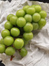 京鲜生 西双版纳阳光玫瑰青提 净重1.8-2.2斤 单果6g+ 葡萄提子源头直发 实拍图