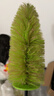 绿田（LUTIAN）轮胎轮毂刷子汽车清洁加长硬软毛刷擦车去污神器洗车工具 实拍图