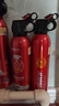 火焰战士 灭火器车载家车用干粉灭火器便携新能源消防器材1A21B增强型610G 实拍图