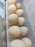京鲜生可生食标准鲜鸡蛋30枚礼盒装3斤 源头直发 实拍图