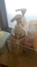 亲润豆乳氨基酸滋润洗发水300g 洗护用品温和清洁护肤品 实拍图