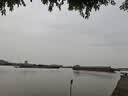 四万公里 蓝莓树苗优瑞卡果树树苗南北方种植阳台盆栽地栽苗源头直发包邮 实拍图