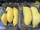 五月花旋转拖把共2布家用一拖净免手洗2026拖把带桶一套拖布吸水墩布 实拍图