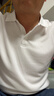龙牙【满2件-100】二代隐夏COOLMAX短袖POLO衫夏通勤商务休闲翻领百搭 白色 M (175/96A 140-155斤) 实拍图