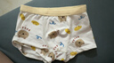 尼多熊儿童内裤男童中小童四角平裤棉裤男宝婴幼儿小男孩平角短裤 S码 实拍图