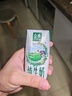 伊利【新鲜日期】金典纯牛奶早餐奶250ml*16 3.6g乳蛋白 礼盒装 2-3月 实拍图